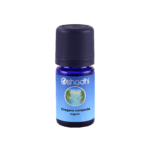 Oregano compacta organic
