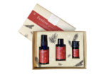 Festive Scents Gift Set