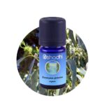 Eucalyptus globulus organic