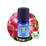 Geranium (Rose Geranium) organic