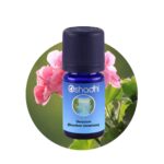 Geranium (Bourbon Geranium)
