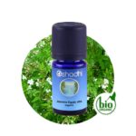Jasmine Egypt, abs. organic