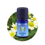 Chamomile blue organic