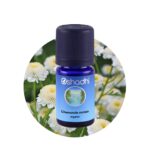 Chamomile roman organic
