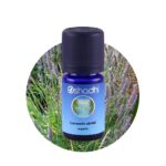 Lavandin abrial organic