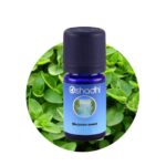 Marjoram sweet