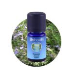 Rosemary (Cineol) organic