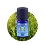 Rosemary Highland, Spain organic