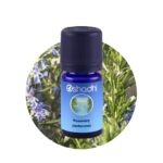 Rosemary (Verbenone)