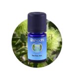 Tea-Tree, m.a.