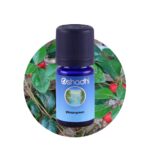 Wintergreen
