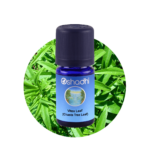 Vitex Leaf Essential Oil (2981)