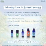 Course Introduction to Aromatherapy / คอร์สเบื้องต้น การบำบัดโดยใช้กลิ่นหอม