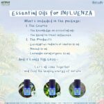Course Essential Oils for Influenza