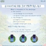 Course Essential Oils for Pain relief (บรรเทาอาการปวด)