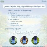 Course Essential Oils & Digestion (ระบบย่อยอาหาร และ อาการท้องผูก)