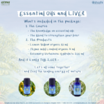 Course Essential Oils for the Liver