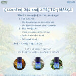 Course Essential Oils & Stretch marks
