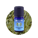 Eucalyptus smithii organic Essential Oil (1437)